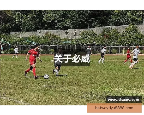 围绕必威体育官网打造全面权威体育资讯与赛事互动新体验平台探索 围绕必威体育官网打造全面权威体育资讯与赛事互动新体验平台探索