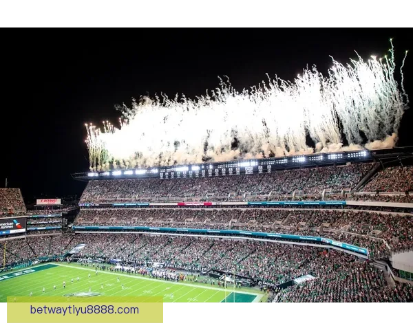 2026年世界杯主办城市全景揭秘:北美三国共迎足球盛宴 2026年世界杯主办城市全景揭秘:北美三国共迎足球盛宴