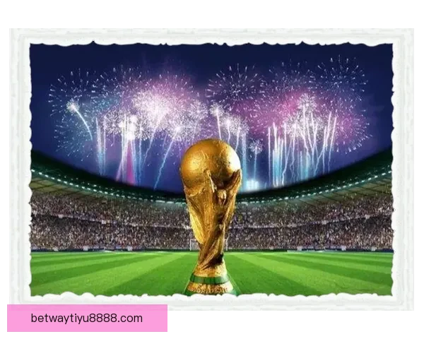 2026年世界杯主办城市全景揭秘：北美三国共迎足球盛宴